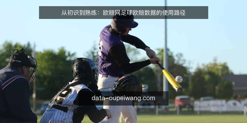 从初识到熟练:欧赔网足球欧赔数据的使用路径 — 场景起点:从一次盘口查询说起 配图