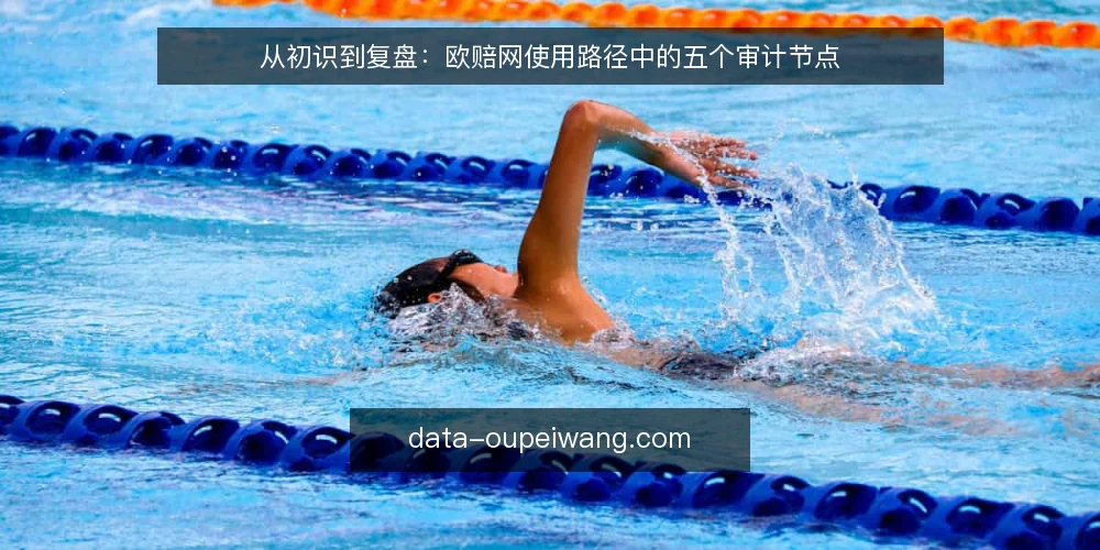 从初识到复盘：欧赔网使用路径中的五个审计节点 — 为什么现在需要审计你的欧赔网使用流程 配图