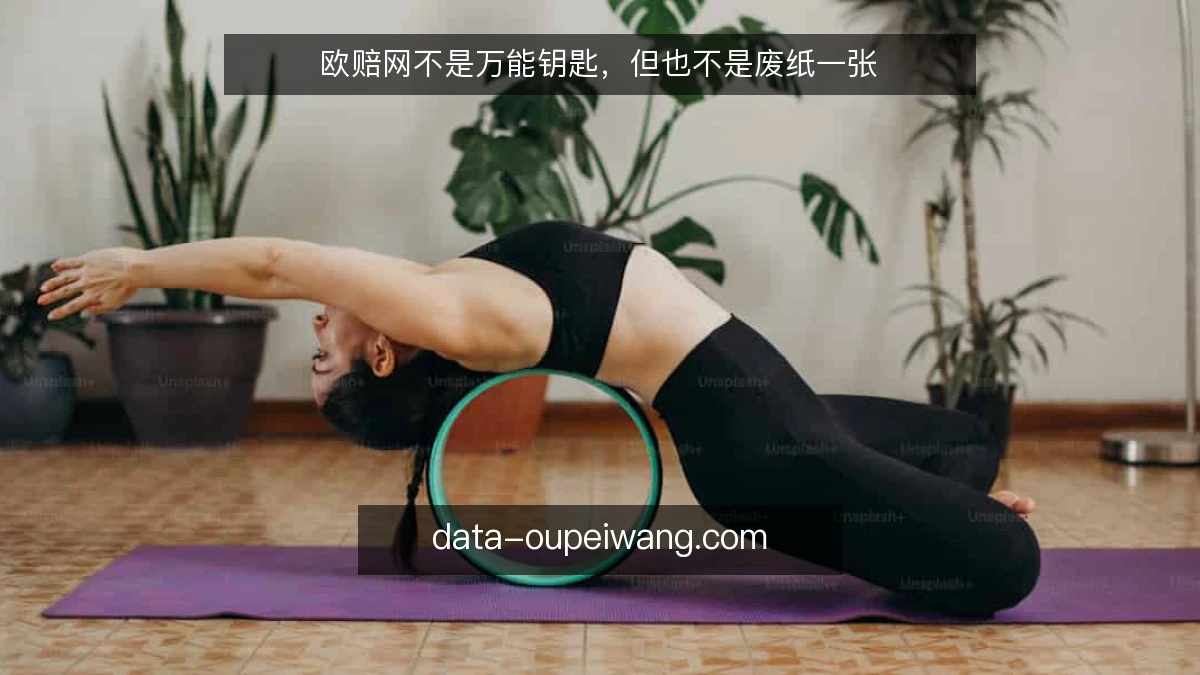 欧赔网不是万能钥匙，但也不是废纸一张