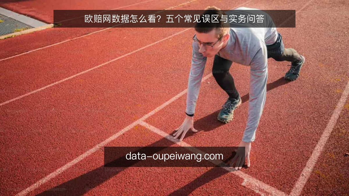 欧赔网数据怎么看？五个常见误区与实务问答