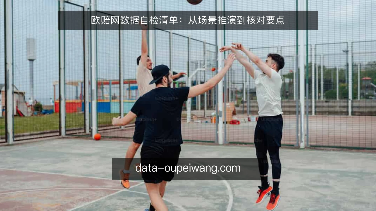 欧赔网数据自检清单：从场景推演到核对要点