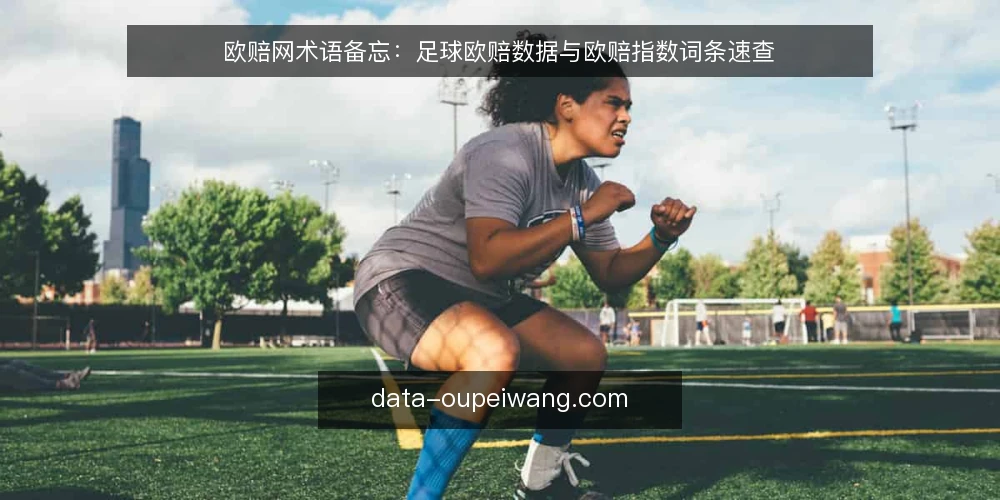 欧赔网术语备忘：足球欧赔数据与欧赔指数词条速查 — 先看哪些信号：术语落地时的观察点 配图